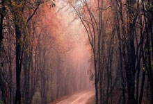 凯尔特人殊途同归，再遭爵士大比分压制