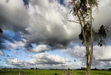 利物浦客场惨败切尔西，赛季三败收场