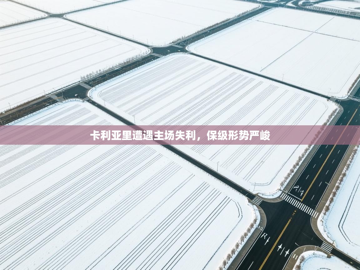 卡利亚里遭遇主场失利，保级形势严峻